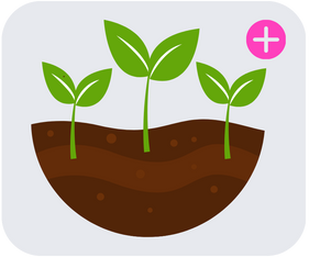 World Soil Day